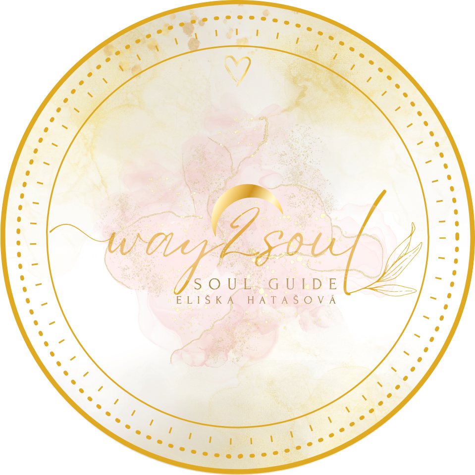 Logo way2soul
