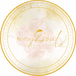 Logo way2soul